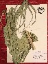  ( - GPAGA 411)  @11 [ ] Copyright (2017) Columbus State University Columbus State University