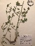  ( - GPAGA 432)  @11 [ ] Copyright (2017) Columbus State University Columbus State University