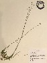  ( - GPAGA 468)  @11 [ ] Copyright (2017) Columbus State University Columbus State University