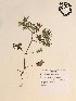  ( - GPAGA 475)  @11 [ ] Copyright (2017) Columbus State University Columbus State University