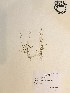  ( - GPAGA 513)  @11 [ ] Copyright (2017) Columbus State University Columbus State University
