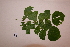  ( - RDS120)  @11 [ ] Attribution Non-Commercial Share-Alike (2025) Jacqueline Kumadoh A Rocha Ghana