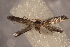  ( - NK-20-20)  @11 [ ] Copyright (2020) Evgeny Akulov Evgeny Akulov: private collection