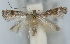  ( - CLV5837)  @11 [ ] Copyright (2013) Stanislav Gomboc Unspecified