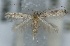  ( - CLV5861)  @13 [ ] Copyright (2013) Stanislav Gomboc Unspecified