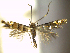  ( - CLV6250)  @11 [ ] CreativeCommons  Attribution Non-Commercial Share-Alike (2016) Carlos Lopez Vaamonde Institut National de la Recherche Agronomique, Zoologie Forestiere