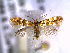  ( - CLV6297)  @14 [ ] CreativeCommons  Attribution Non-Commercial Share-Alike (2016) Carlos Lopez Vaamonde Institut National de la Recherche Agronomique, Zoologie Forestiere