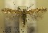  ( - A02ceras)  @13 [ ] Copyright (2010) Unspecified Research Collection of W. and J. De Prins