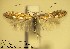  ( - B08cydon)  @14 [ ] Copyright (2010) Unspecified Research Collection of W. and J. De Prins