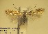  ( - B09cydon)  @14 [ ] Copyright (2010) Unspecified Research Collection of W. and J. De Prins