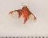  ( - CLV6910)  @12 [ ] Copyright (2010) Unspecified Institut National de la Recherche Agronomique, Orleans, Forestry Zoology
