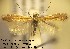  ( - G03querc)  @12 [ ] Copyright (2010) Unspecified Research Collection of W. and J. De Prins