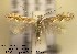  ( - H10esper)  @14 [ ] Copyright (2010) Unspecified Research Collection of W. and J. De Prins