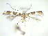  (Dialectica sp - CLV12507)  @14 [ ] Unspecified (default): All Rights Reserved  Unspecified Unspecified