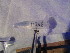  ( - GRADIA018)  @12 [ ] CreativeCommons  Attribution Non-Commercial Share-Alike (2016) BIGOT Diane Institut de Recherche sur la Biologie de l'Insecte