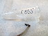  ( - GRADIC055)  @11 [ ] CreativeCommons  Attribution Non-Commercial Share-Alike (2016) BIGOT Diane Institut de Recherche sur la Biologie de l'Insecte