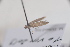  ( - CLV42622)  @11 [ ] CreativeCommons  Attribution Non-Commercial Share-Alike (2022) Carlos Lopez Vaamonde Institut National de la Recherche Agronomique, Zoologie Forestiere