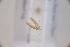  ( - CLV42637)  @11 [ ] CreativeCommons  Attribution Non-Commercial Share-Alike (2022) Carlos Lopez Vaamonde Institut National de la Recherche Agronomique, Zoologie Forestiere