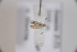  ( - CLV42671)  @11 [ ] CreativeCommons  Attribution Non-Commercial Share-Alike (2022) Carlos Lopez Vaamonde Institut National de la Recherche Agronomique, Zoologie Forestiere