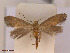 ( - CLV42684)  @11 [ ] CreativeCommons  Attribution Non-Commercial Share-Alike (2022) Carlos Lopez Vaamonde Institut National de la Recherche Agronomique, Zoologie Forestiere
