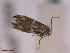  ( - CLV42688)  @11 [ ] CreativeCommons  Attribution Non-Commercial Share-Alike (2022) Carlos Lopez Vaamonde Institut National de la Recherche Agronomique, Zoologie Forestiere