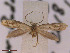  ( - CLV42689)  @11 [ ] CreativeCommons  Attribution Non-Commercial Share-Alike (2022) Carlos Lopez Vaamonde Institut National de la Recherche Agronomique, Zoologie Forestiere