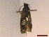  ( - CLV42733)  @11 [ ] CreativeCommons  Attribution Non-Commercial Share-Alike (2022) Carlos Lopez Vaamonde Institut National de la Recherche Agronomique, Zoologie Forestiere