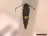  ( - CLV42967)  @11 [ ] CreativeCommons  Attribution Non-Commercial Share-Alike (2022) Carlos Lopez Vaamonde Institut National de la Recherche Agronomique, Zoologie Forestiere