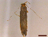  ( - CLV43023)  @11 [ ] CreativeCommons  Attribution Non-Commercial Share-Alike (2022) Carlos Lopez Vaamonde Institut National de la Recherche Agronomique, Zoologie Forestiere