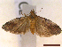  ( - CLV43130)  @11 [ ] CreativeCommons  Attribution Non-Commercial Share-Alike (2022) Carlos Lopez Vaamonde Institut National de la Recherche Agronomique, Zoologie Forestiere
