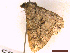  ( - CLV43165)  @11 [ ] CreativeCommons  Attribution Non-Commercial Share-Alike (2022) Carlos Lopez Vaamonde Institut National de la Recherche Agronomique, Zoologie Forestiere
