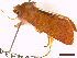  ( - CLV43346)  @11 [ ] CreativeCommons  Attribution Non-Commercial Share-Alike (2022) Carlos Lopez Vaamonde Institut National de la Recherche Agronomique, Zoologie Forestiere