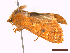  ( - CLV43600)  @11 [ ] CreativeCommons  Attribution Non-Commercial Share-Alike (2022) Carlos Lopez Vaamonde Institut National de la Recherche Agronomique, Zoologie Forestiere
