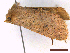  ( - CLV43755)  @11 [ ] CreativeCommons  Attribution Non-Commercial Share-Alike (2022) Carlos Lopez Vaamonde Institut National de la Recherche Agronomique, Zoologie Forestiere