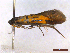  ( - CLV44064)  @11 [ ] CreativeCommons  Attribution Non-Commercial Share-Alike (2022) Carlos Lopez Vaamonde Institut National de la Recherche Agronomique, Zoologie Forestiere