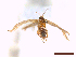  ( - CLV44149)  @11 [ ] CreativeCommons  Attribution Non-Commercial Share-Alike (2022) Carlos Lopez Vaamonde Institut National de la Recherche Agronomique, Zoologie Forestiere