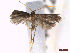  ( - CLV44222)  @11 [ ] CreativeCommons  Attribution Non-Commercial Share-Alike (2022) Carlos Lopez Vaamonde Institut National de la Recherche Agronomique, Zoologie Forestiere