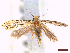  ( - CLV44256)  @11 [ ] CreativeCommons  Attribution Non-Commercial Share-Alike (2022) Carlos Lopez Vaamonde Institut National de la Recherche Agronomique, Zoologie Forestiere