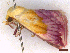  ( - CLV44284)  @11 [ ] CreativeCommons  Attribution Non-Commercial Share-Alike (2022) Carlos Lopez Vaamonde Institut National de la Recherche Agronomique, Zoologie Forestiere