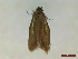  ( - CLV44543)  @11 [ ] CreativeCommons  Attribution Non-Commercial Share-Alike (2023) Carlos Lopez Vaamonde Institut National de la Recherche Agronomique, Zoologie Forestiere