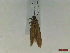  ( - CLV44544)  @11 [ ] CreativeCommons  Attribution Non-Commercial Share-Alike (2023) Carlos Lopez Vaamonde Institut National de la Recherche Agronomique, Zoologie Forestiere