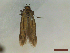 ( - CLV44547)  @11 [ ] CreativeCommons  Attribution Non-Commercial Share-Alike (2023) Carlos Lopez Vaamonde Institut National de la Recherche Agronomique, Zoologie Forestiere