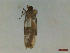  ( - CLV44559)  @11 [ ] CreativeCommons  Attribution Non-Commercial Share-Alike (2023) Carlos Lopez Vaamonde Institut National de la Recherche Agronomique, Zoologie Forestiere