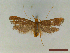 ( - CLV44579)  @11 [ ] CreativeCommons  Attribution Non-Commercial Share-Alike (2023) Carlos Lopez Vaamonde Institut National de la Recherche Agronomique, Zoologie Forestiere