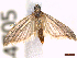 ( - CLV44705)  @11 [ ] CreativeCommons  Attribution Non-Commercial Share-Alike (2022) Carlos Lopez Vaamonde Institut National de la Recherche Agronomique, Zoologie Forestiere