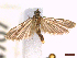  ( - CLV44707)  @11 [ ] CreativeCommons  Attribution Non-Commercial Share-Alike (2022) Carlos Lopez Vaamonde Institut National de la Recherche Agronomique, Zoologie Forestiere