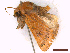  ( - CLV44722)  @11 [ ] CreativeCommons  Attribution Non-Commercial Share-Alike (2022) Carlos Lopez Vaamonde Institut National de la Recherche Agronomique, Zoologie Forestiere