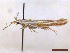  ( - CLV44954)  @11 [ ] CreativeCommons  Attribution Non-Commercial Share-Alike (2022) Carlos Lopez Vaamonde Institut National de la Recherche Agronomique, Zoologie Forestiere