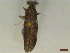  ( - CLV45030)  @11 [ ] CreativeCommons  Attribution Non-Commercial Share-Alike (2023) Carlos Lopez Vaamonde Institut National de la Recherche Agronomique, Zoologie Forestiere