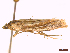  ( - CLV45122)  @11 [ ] CreativeCommons  Attribution Non-Commercial Share-Alike (2022) Carlos Lopez Vaamonde Institut National de la Recherche Agronomique, Zoologie Forestiere